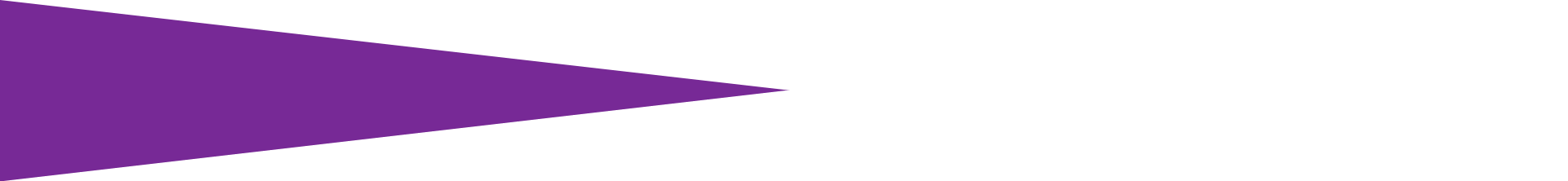Banner Divider Purple